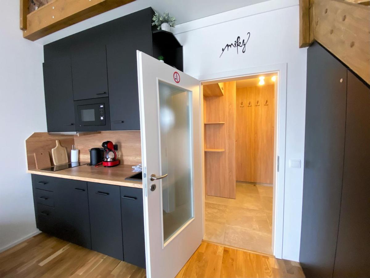 Miky Apartmán Klínovec view Loučná pod Klínovcem Exterior foto